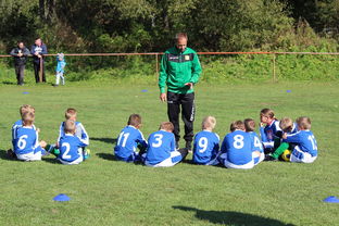 乐鱼体育官网下载-球队是否因场上球员触球次数分布调整战术重心,球员击球后可触及球网全长