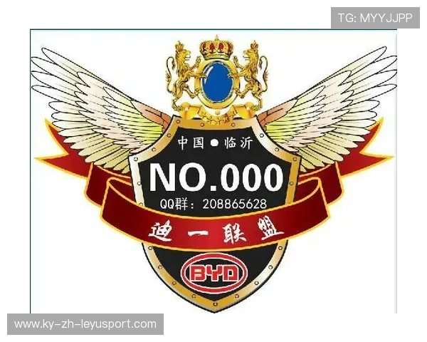 粉丝自制车队联盟：网络时代的创新玩法